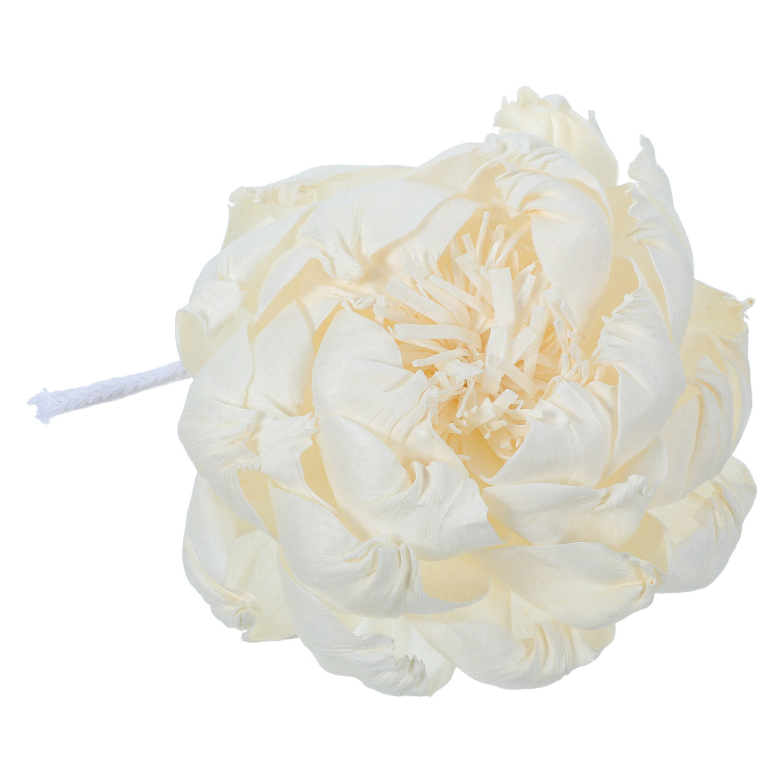 Şakayık Başlı Koku Difüzörü 12 - Home Fragrance For Diffuser incelemesi ve fiyatı
